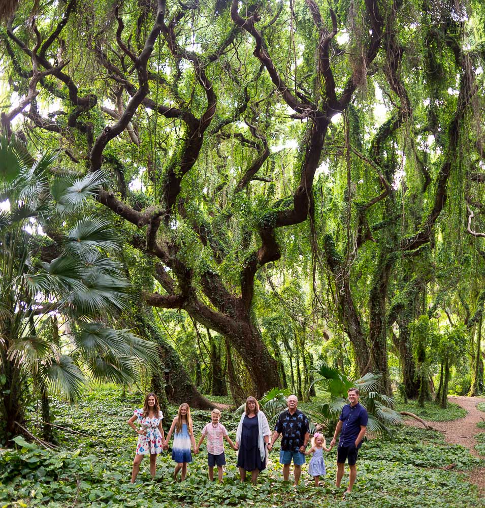 Emtire family holding hands in an entchanted Maui Hawaii Forest