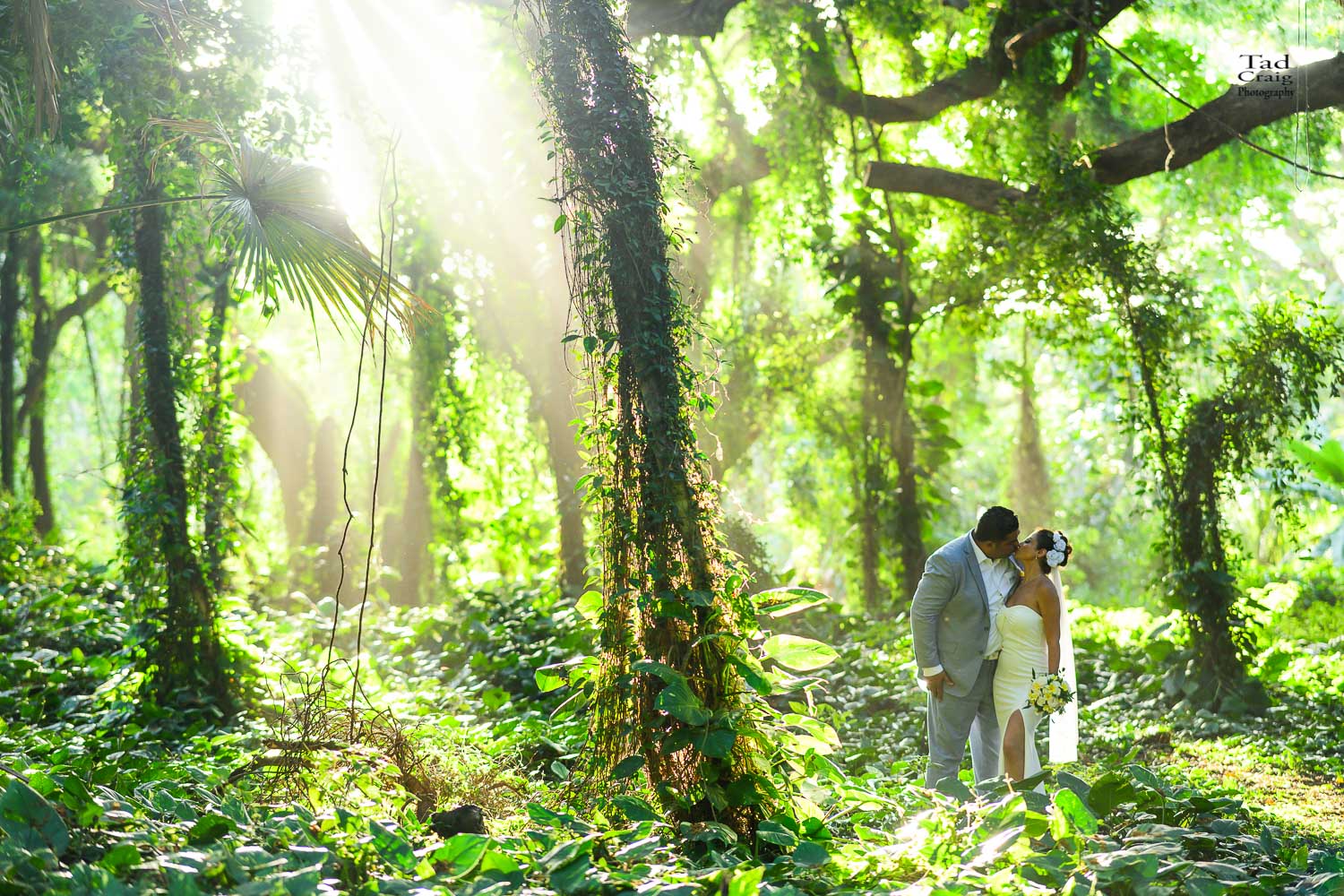 Just married couple kissing in a tropical maui forest